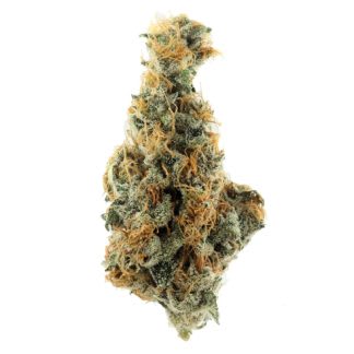 HIGHLY DUTCH ORGANIC - AMSTERDAM 7G - Image 2