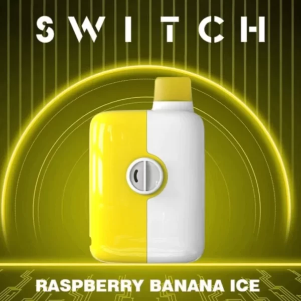 MR FOG SWITCH 5500 PUFFS - BANANA RASPBERRY ICE