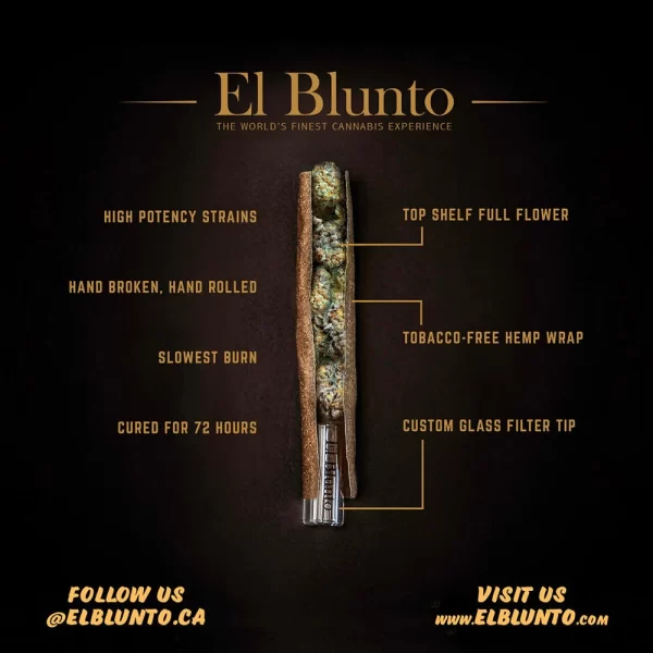 EL BLUNTITO VIVA PR1X0.75G - Image 3