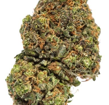 SNICKLEFRITZ – ANIMAL COOKIES 7G – Up In Smoke Cannabis & Tobacconist