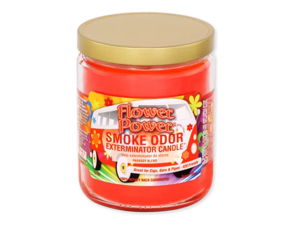 SMOKE ODOR CANDLE - FLOWER POWER