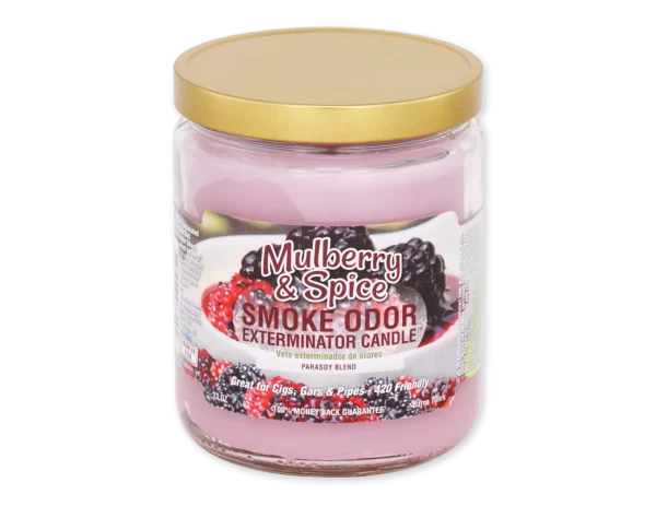 SMOKE ODOR CANDLE - MULBERRY & SPICE