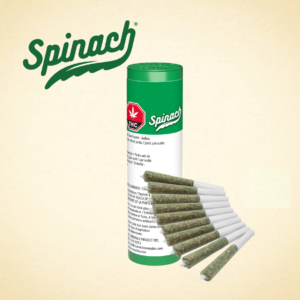 SPINACH - KIWI LIME PUNCH PR10X0.35G