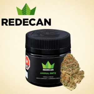 REDECAN - ANIMAL RNTZ 1G