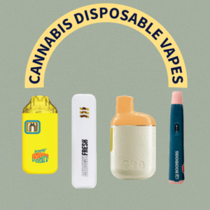 DISPOSABLE VAPES