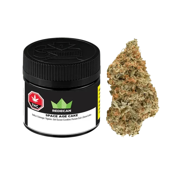 REDECAN: Space Age Cake 1G