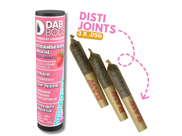 DAB BODS - STRAWBERRY MOON DISTI JOINTS PR3X0.5G