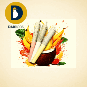 DAB BODS - DISTI JOINT TASTER PACK PR3X0.5G