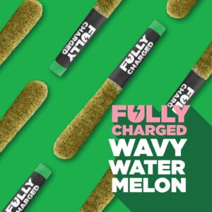 SPINACH - FULLY CHARGED WAVY WATERMELON PR3X0.5G