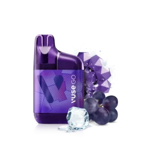 VUSE GO 1000 - GRAPE ICE VAPE