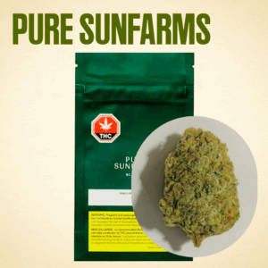 PURE SUNFARMS - KUSH GOD 7G