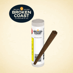 BROKEN COAST - PLATINUM PAVE PR1X1G