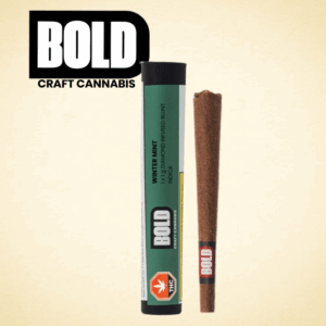 BOLD - WINTER MINT INFUSED BLUNT PR1X1G
