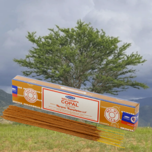 SATYA NAG CHAMPA - COPAL INCENSE