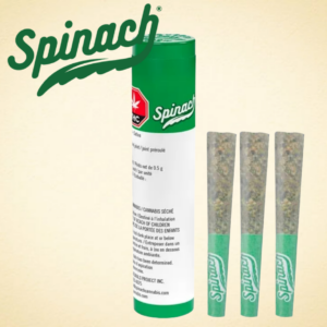 SPINACH - BLUE THAI PR3X0.5G