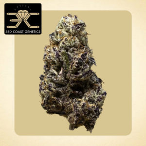 3RD COAST GENETICS - BLACK TRUFFLE 14G