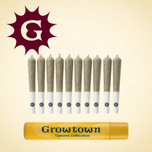 GROWTOWN - ANIMAL COOKIES PR10X0.35G