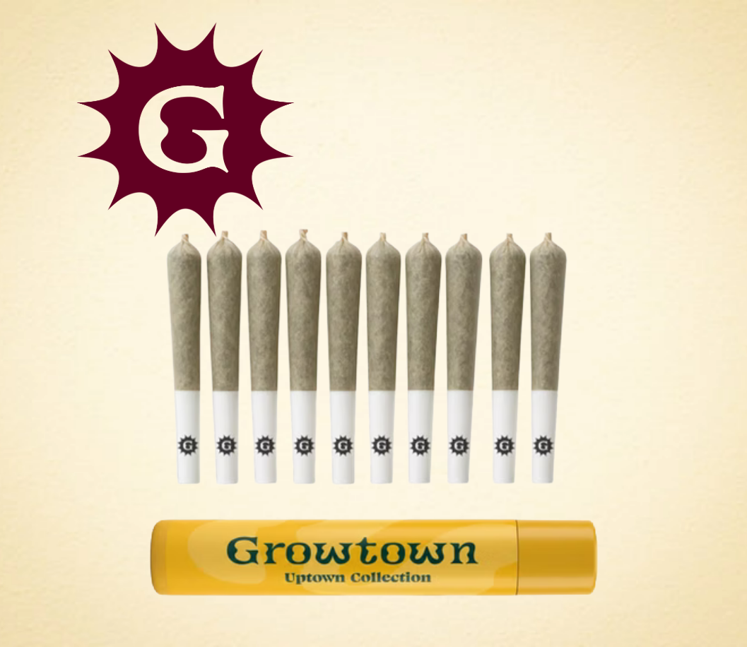 GROWTOWN - ANIMAL COOKIES PR10X0.35G
