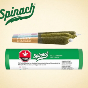 SPINACH - PARTY MIXER PACK PR3X0.5G