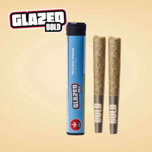 GLAZED BOLD - MIMOSA PR2X1G