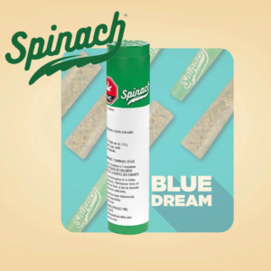 SPINACH - BLUE DREAM PR3X0.5G